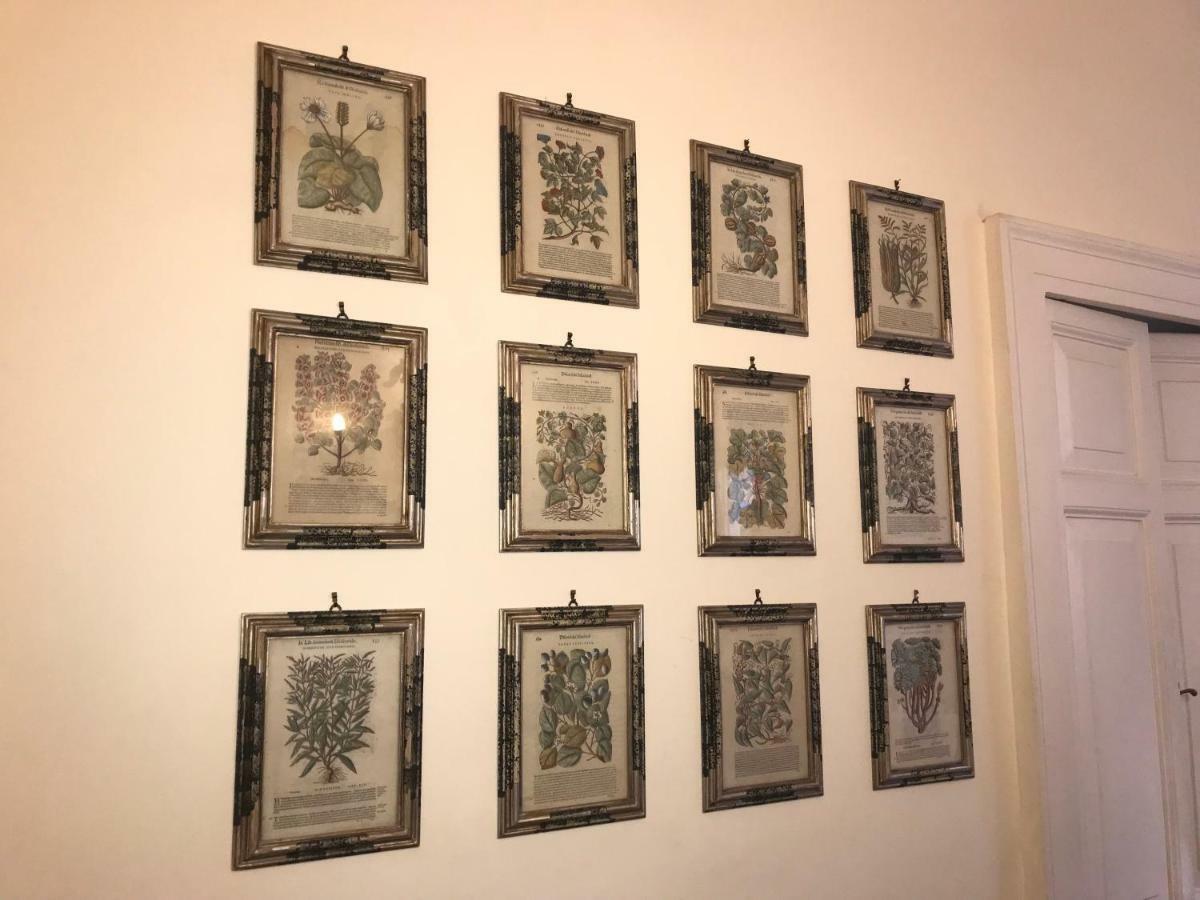 Stylish Apartment In Central Rome "Centro Storico" Dış mekan fotoğraf